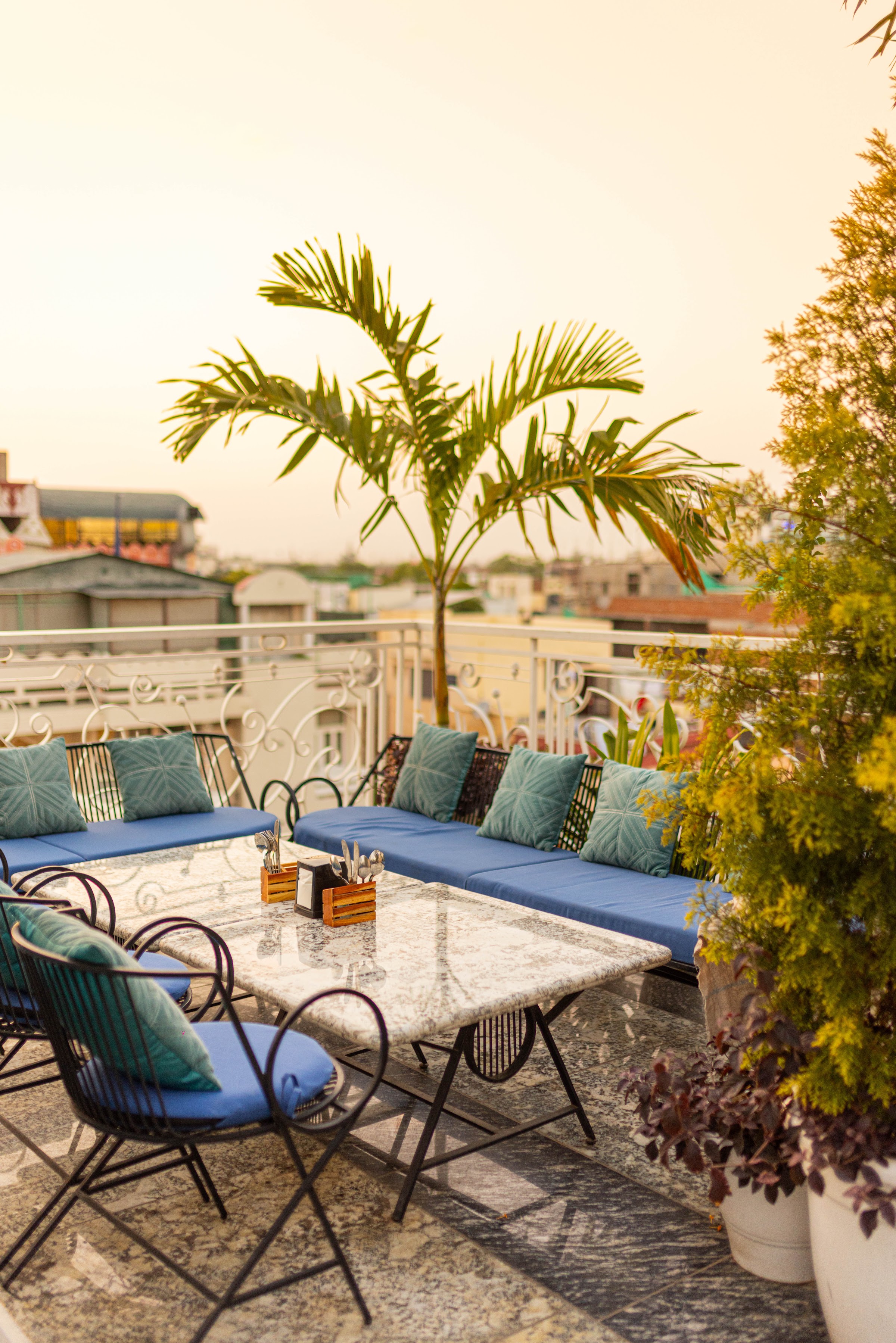 The Sura rooftop lounge at golden hour, with palm trees and low seating